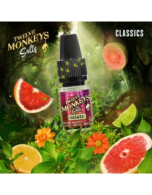 Twelve Monkeys - Harambae - Nikotinsalz - 20mg/ml